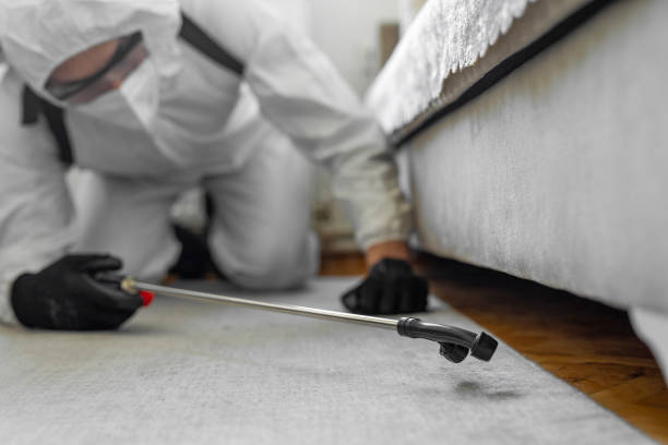 Professional Bed Bug Control technician working in Hollister, CA