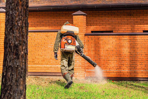 Trusted Ant Control service in Hollister, CA - Nex Pest Control